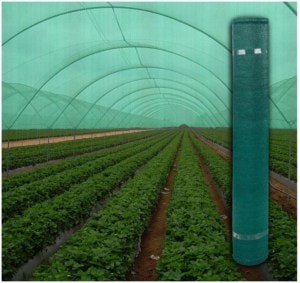 Plasa Umbrire Verde HDPE UV lungime: 50m, lățime: 2m, grad de umbrire: 35% | Travandi.ro
